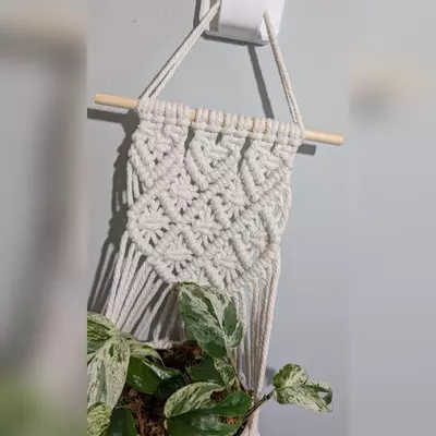 plant/#359 Wall Plant Hanger, your color choice-1-thumbnail