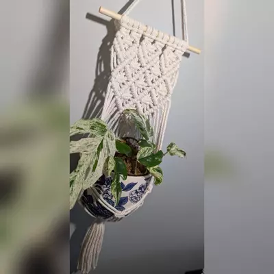 plant/#359 Wall Plant Hanger, your color choice-2-thumbnail