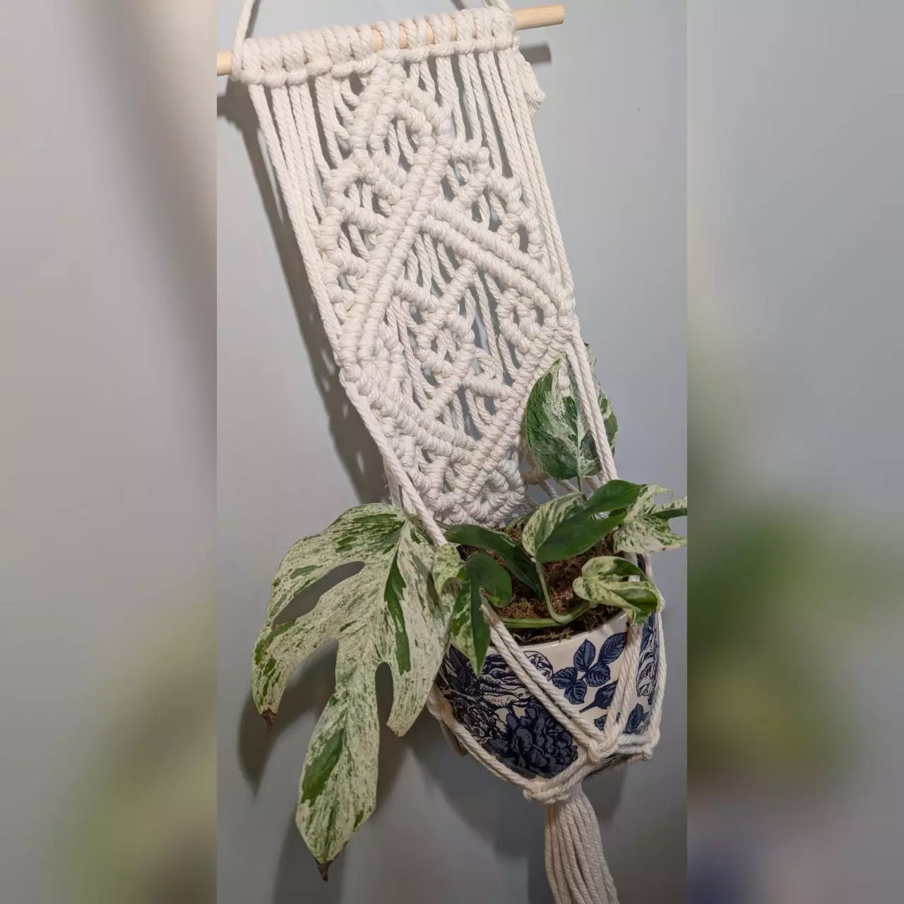 plant/#361 Oriental design Wall plant hanger, your color choice-2