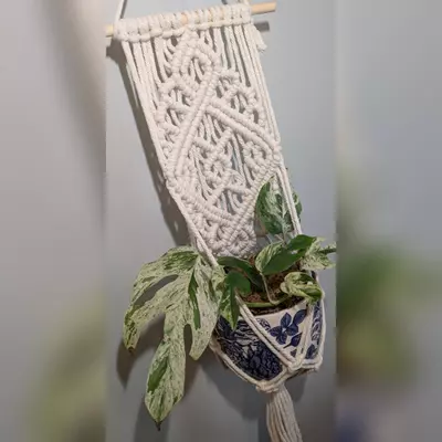 plant/#361 Oriental design Wall plant hanger, your color choice-2-thumbnail
