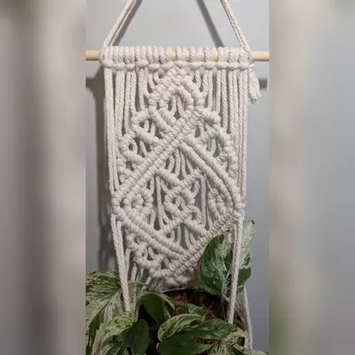 plant/#361 Oriental design Wall plant hanger, your color choice-1-thumbnail