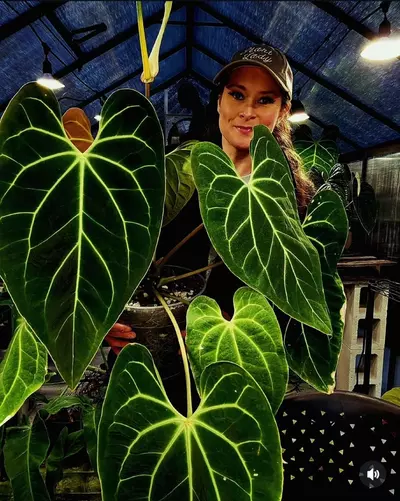 plant/Large Plant Shipping-0-thumbnail