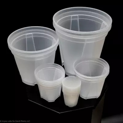 plant/CPOT10 - 10” pot-0-thumbnail