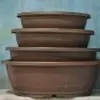 plant/Plastic Bonsai Pots – Oval Series – Set of 4 Assorted Pots-0