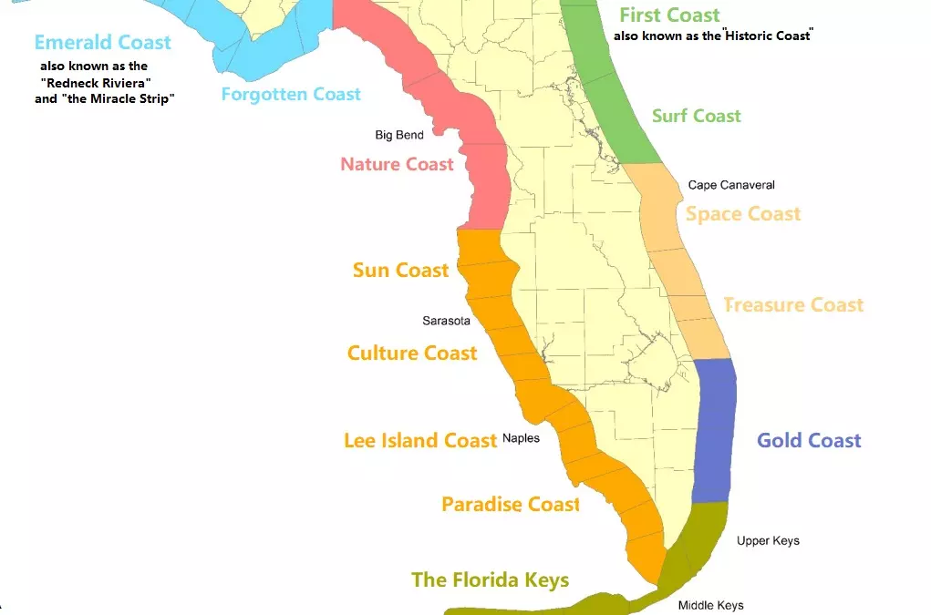 plant/Gold Coast Collection: ‘JUPITER’ Amazonite Stretch Bracelet | 8mm-5