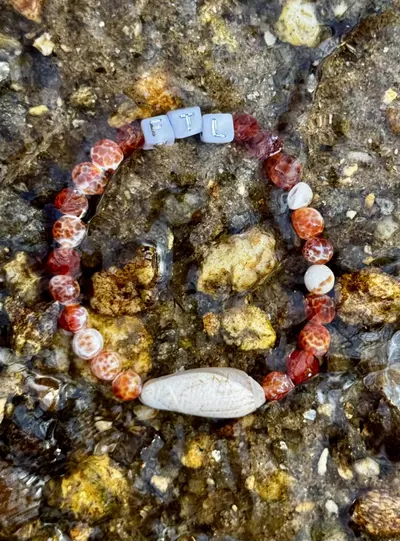 plant/Gold Coast Collection: ‘FTL’ Red Agate Stretch Bracelet | 6mm-4-thumbnail