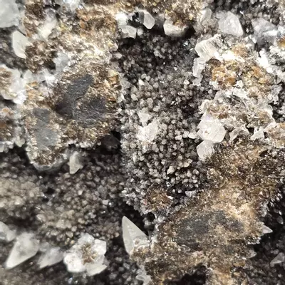 plant/Dogtooth calcite on Iridescent calcite Oskaloosa Iowa-2-thumbnail