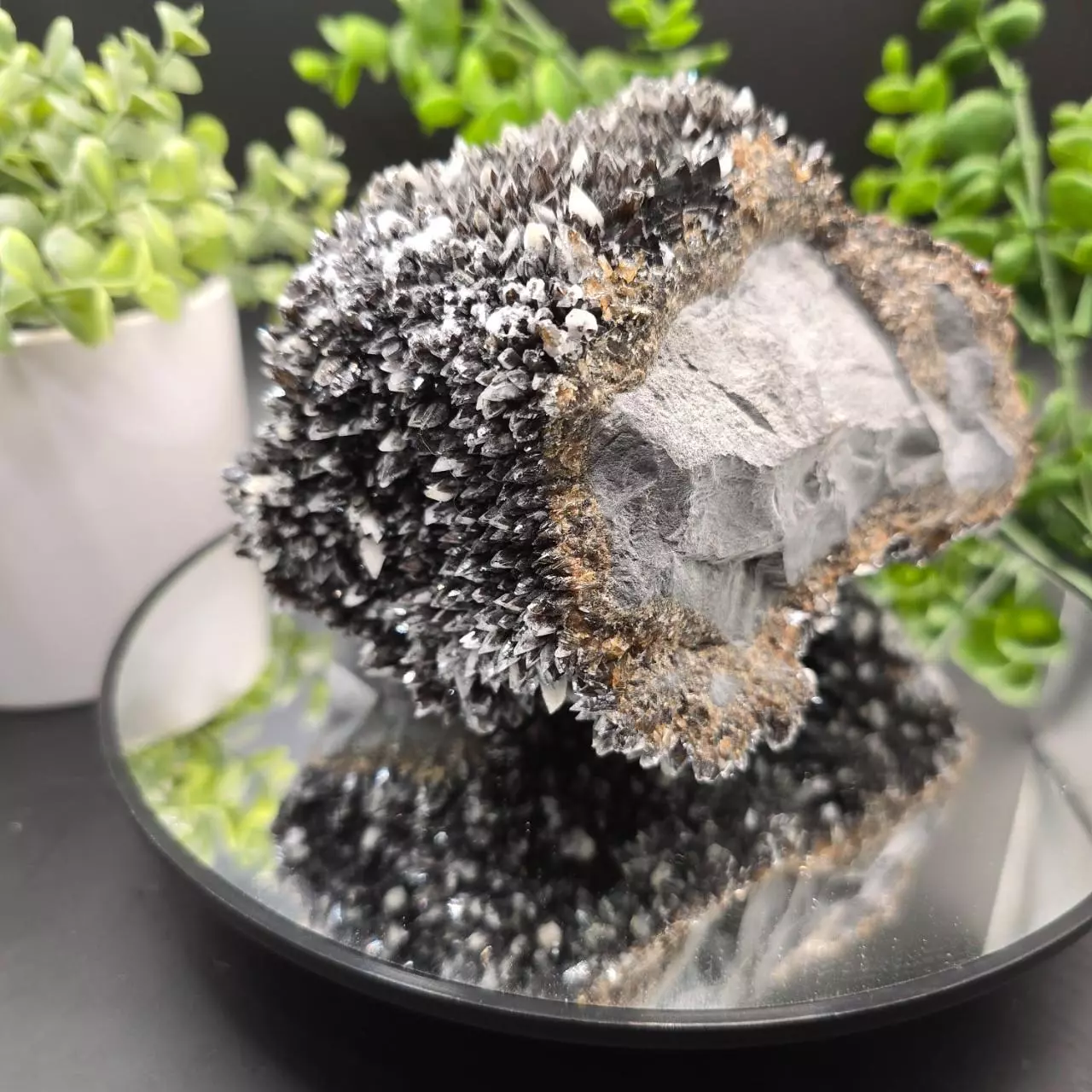 plant/Dogtooth calcite on Iridescent calcite Oskaloosa Iowa-0