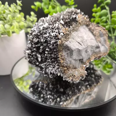 plant/Dogtooth calcite on Iridescent calcite Oskaloosa Iowa-0-thumbnail