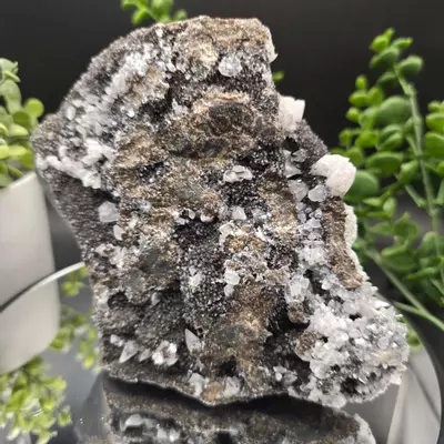 plant/Dogtooth calcite on Iridescent calcite Oskaloosa Iowa-1-thumbnail