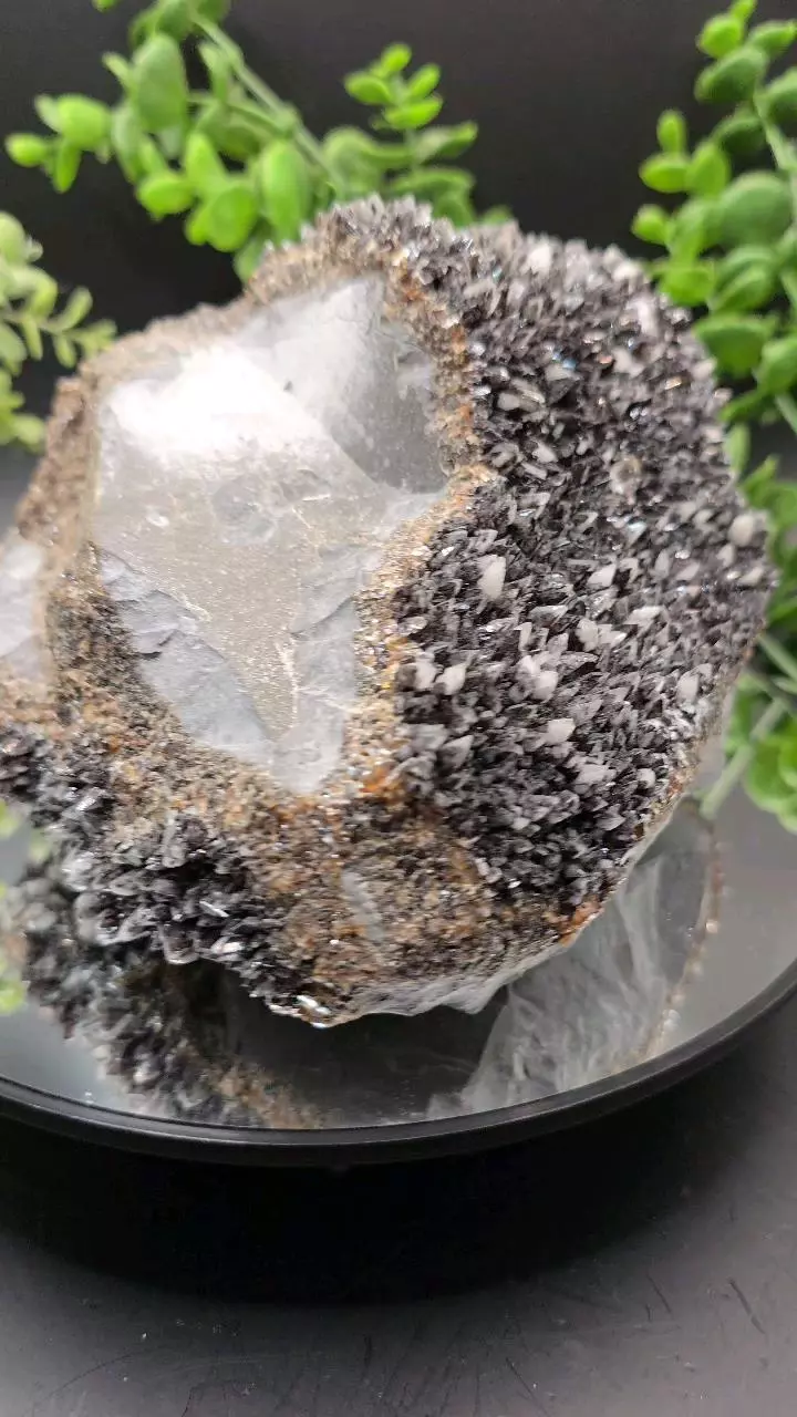 plant/Dogtooth calcite on Iridescent calcite Oskaloosa Iowa-3