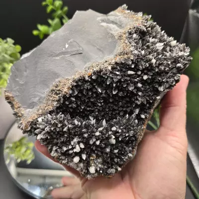 plant/Dogtooth calcite on Iridescent calcite Oskaloosa Iowa-2-thumbnail