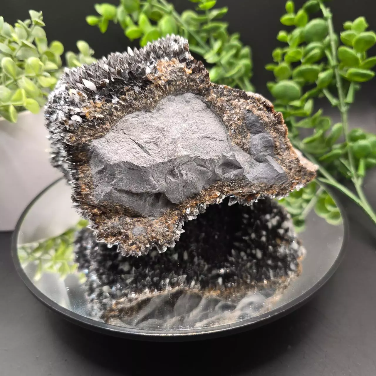 plant/Dogtooth calcite on Iridescent calcite Oskaloosa Iowa-1