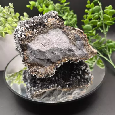 plant/Dogtooth calcite on Iridescent calcite Oskaloosa Iowa-1-thumbnail