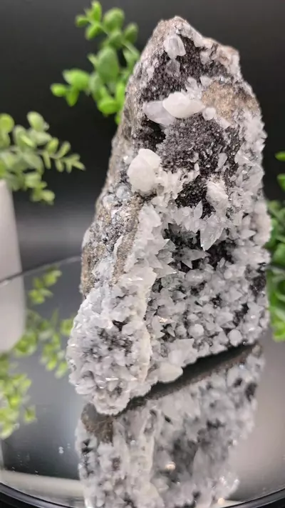 plant/Dogtooth calcite on Iridescent calcite Oskaloosa Iowa-4-thumbnail