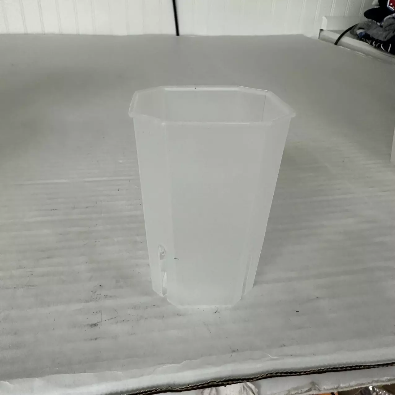 plant/3.5” Clear Pot Bundle of 3-0