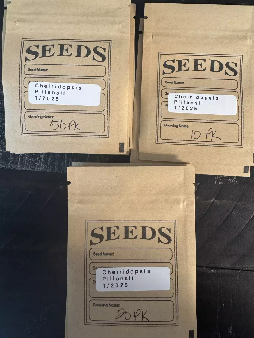 plant/Seeds - Cheiridopsis Pillansii 20pk-1