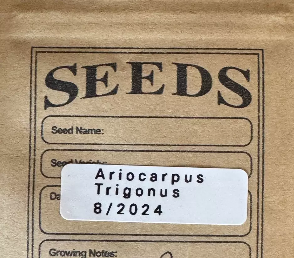 plant/Seeds Ariocarpus Trigonus 20 Pack-2