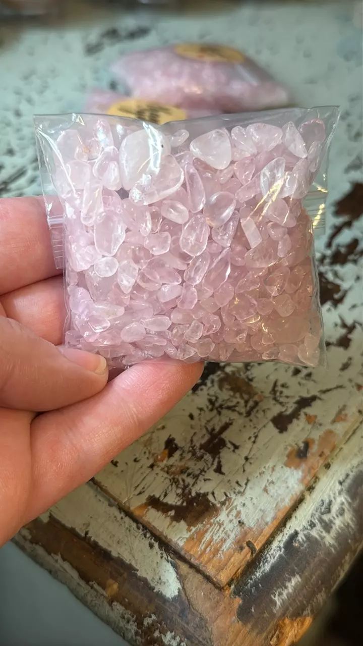 plant/$3 | RQ Chip Bag 3 oz-1