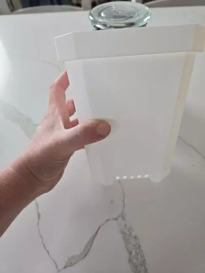 plant/5 inch thick white plastic pot-0-thumbnail