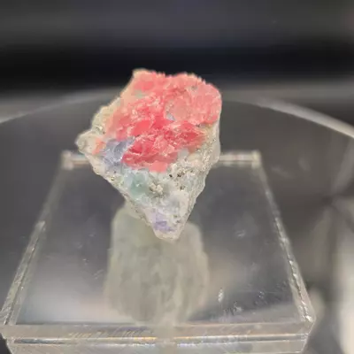 plant/Rhodochrosite w Fluorite from sweetwater mine-0-thumbnail