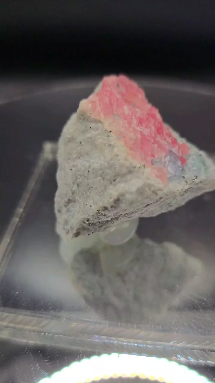 plant/Rhodochrosite w Fluorite from sweetwater mine-2