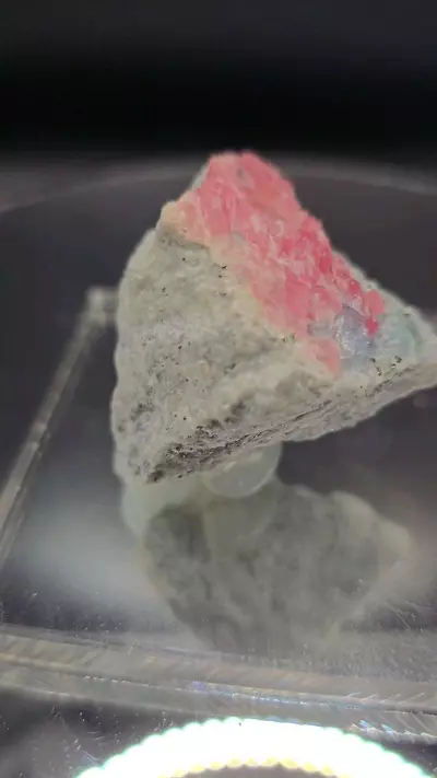 plant/Rhodochrosite w Fluorite from sweetwater mine-2-thumbnail