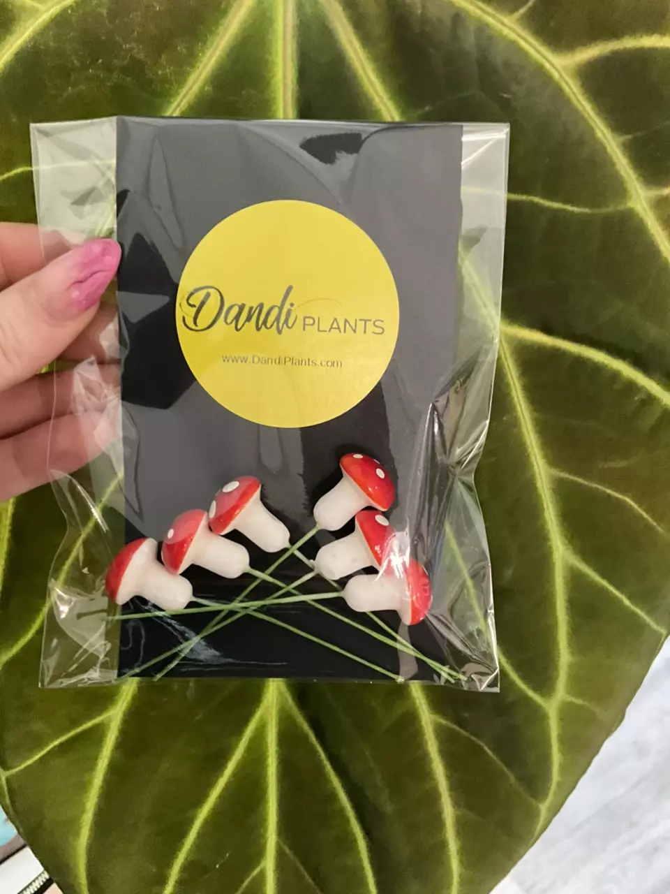 plant/Mushroom - Pot pals ~random~ * add on only*-0