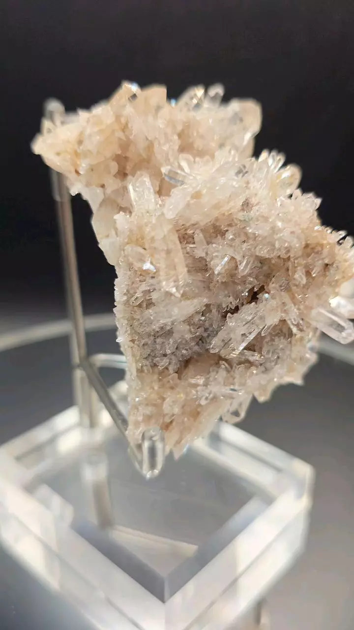 plant/Colombian Lemurian Quartz-2