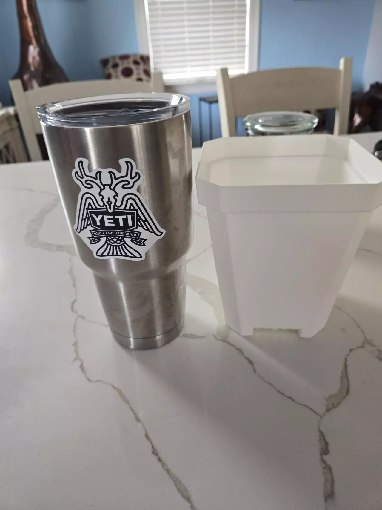 plant/5 inch thick white plastic pot-1