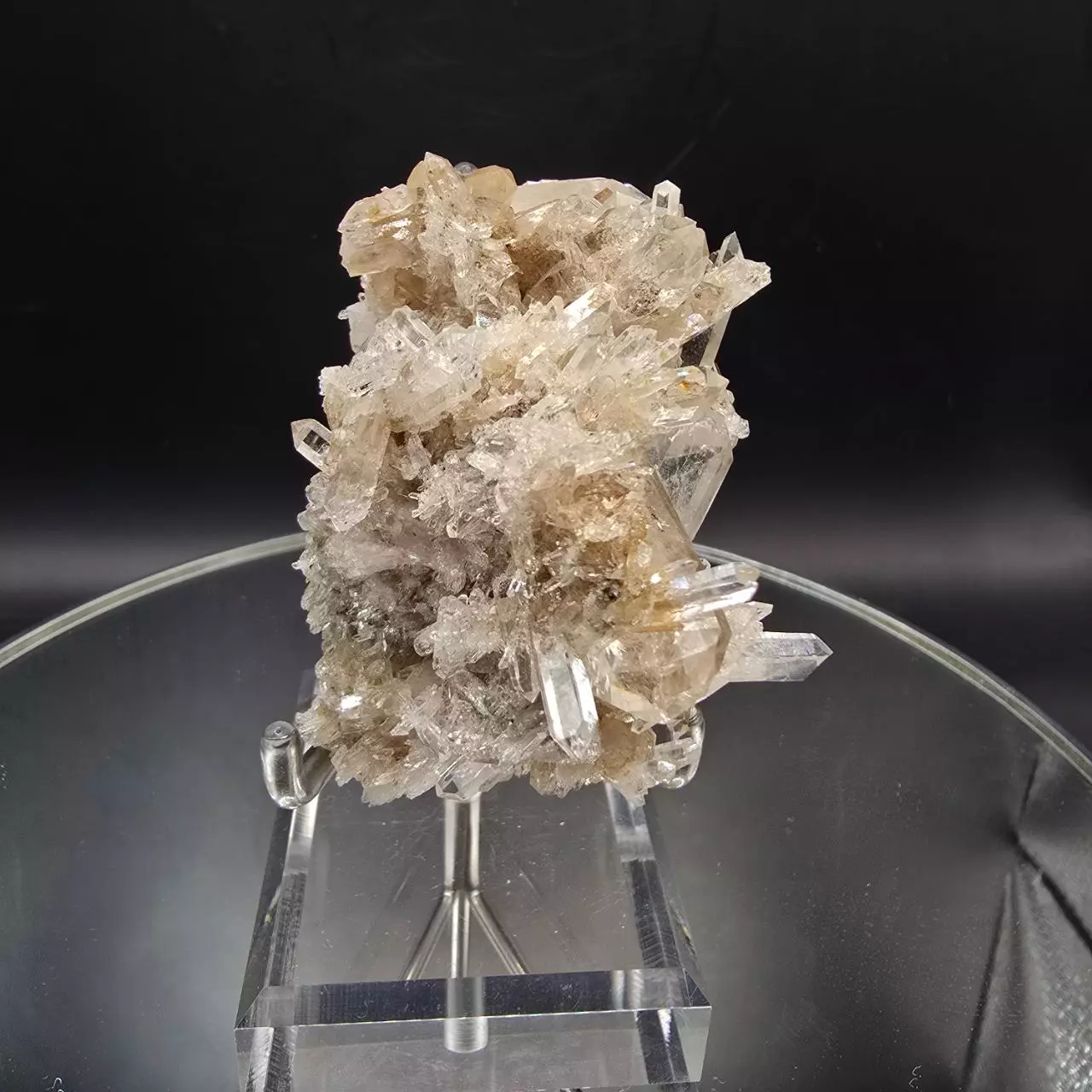 plant/Colombian Lemurian Quartz-0