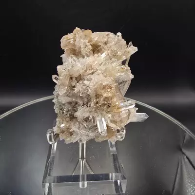 plant/Colombian Lemurian Quartz-0-thumbnail