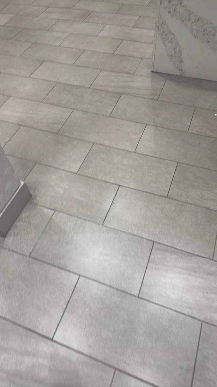 plant/UPS 3 day ship-0