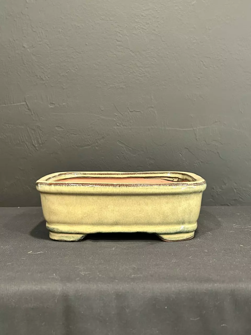 plant/8” Glazed Bonsai Pot - Tan Rectangle-0