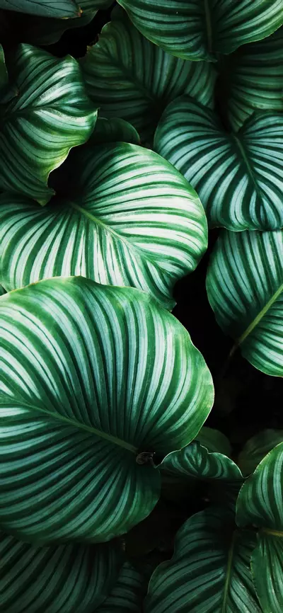 insulation/Winter insulation-0-thumbnail