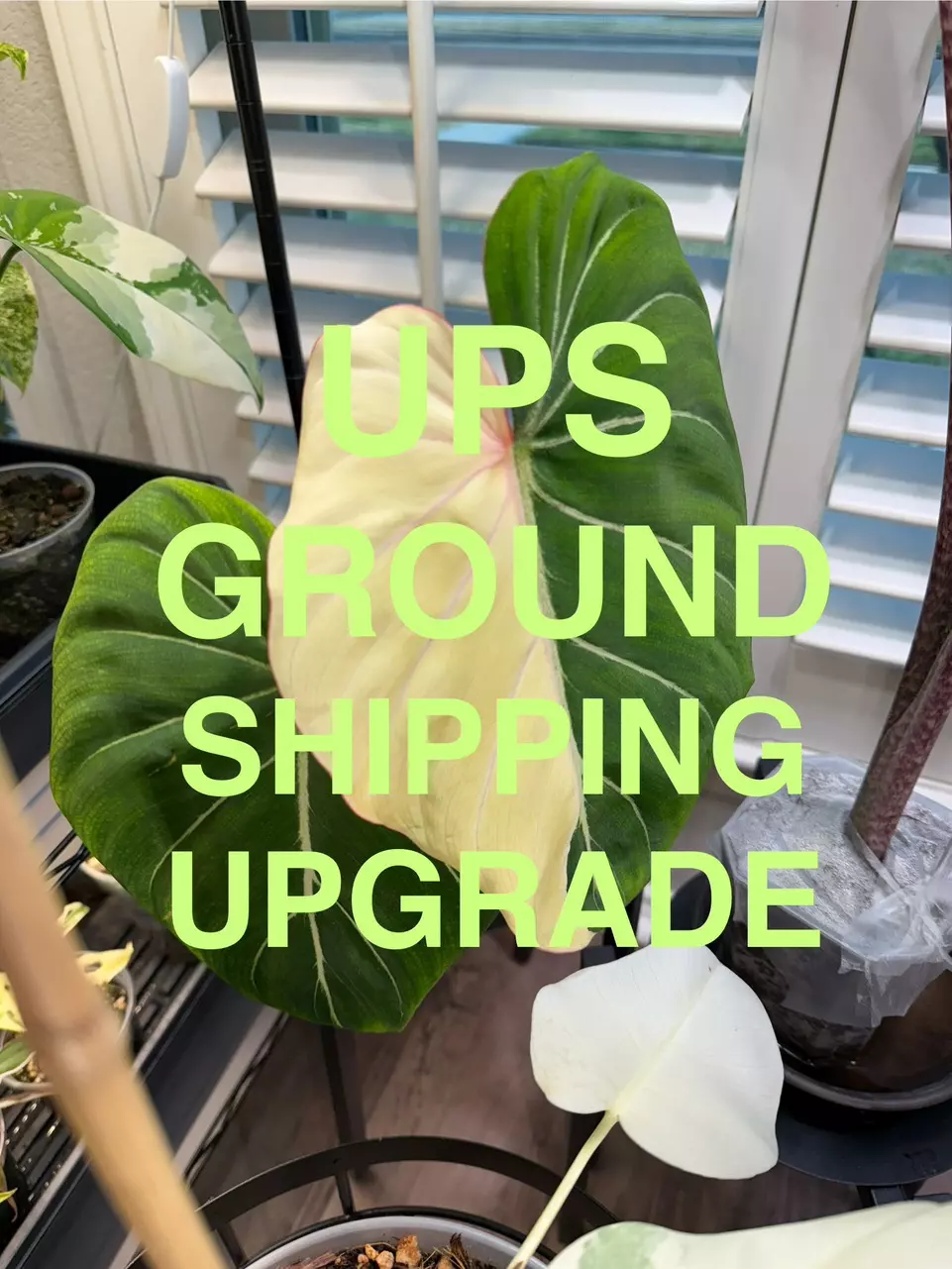 shipping_upgrade/UPS GROUND UPGRADE-0