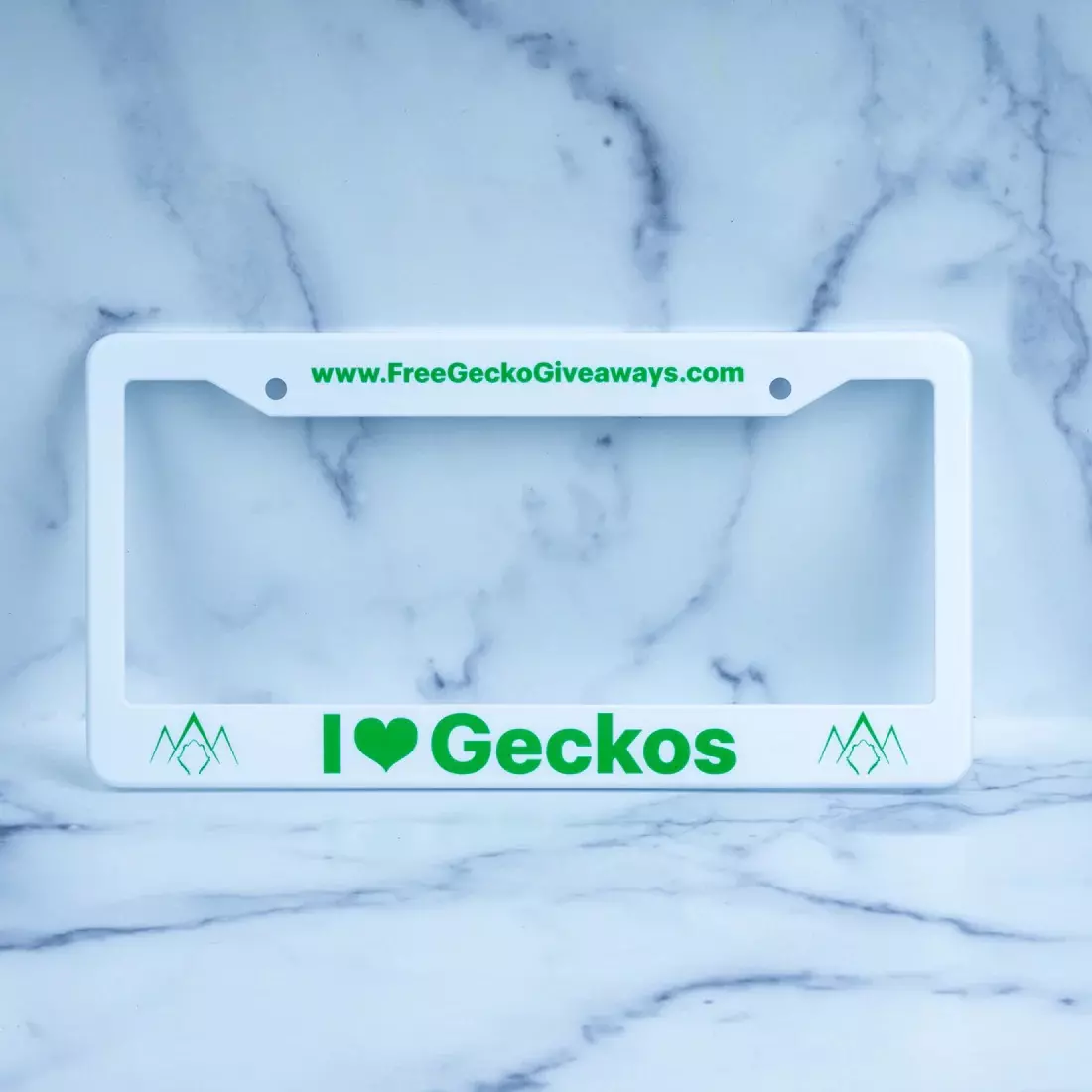 plant/I ❤️Geckos license plate holder-0