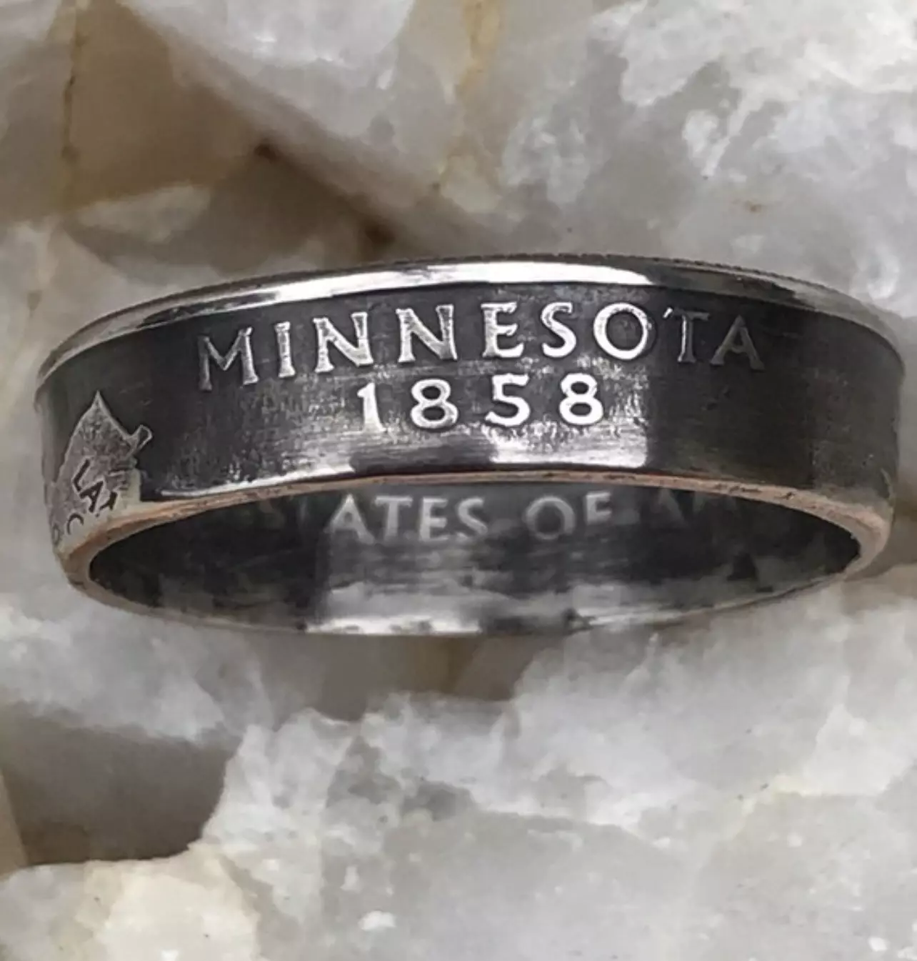 plant/State Quarter Coin Rings-1