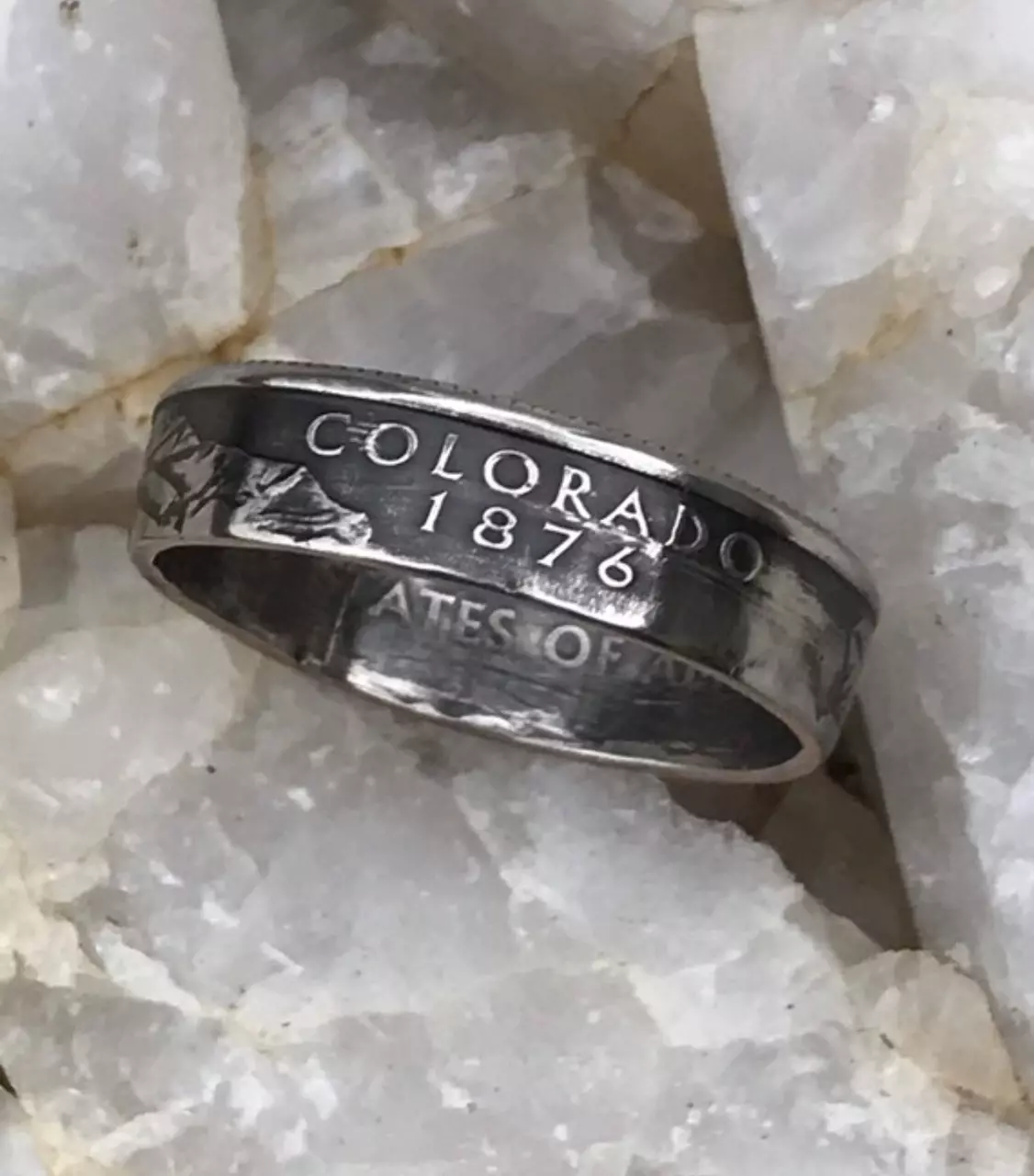 plant/State Quarter Coin Rings-0
