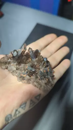 plant/Smokey Quartz Cluster-0