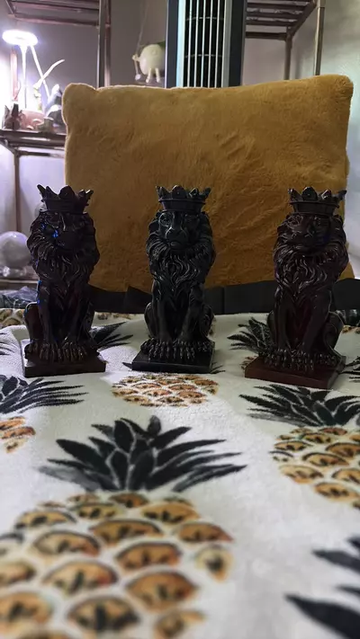 plant/Set of lion sphere holders-0-thumbnail