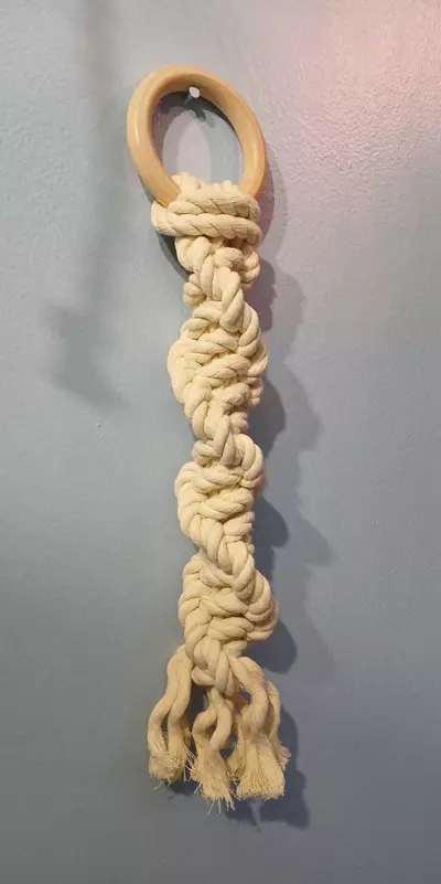 plant/Boho Decor-0-thumbnail