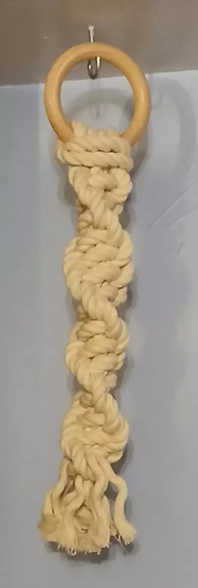 plant/Boho Decor-1-thumbnail