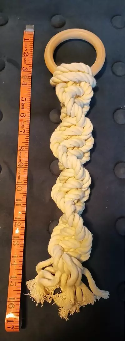 plant/Boho Decor-3-thumbnail