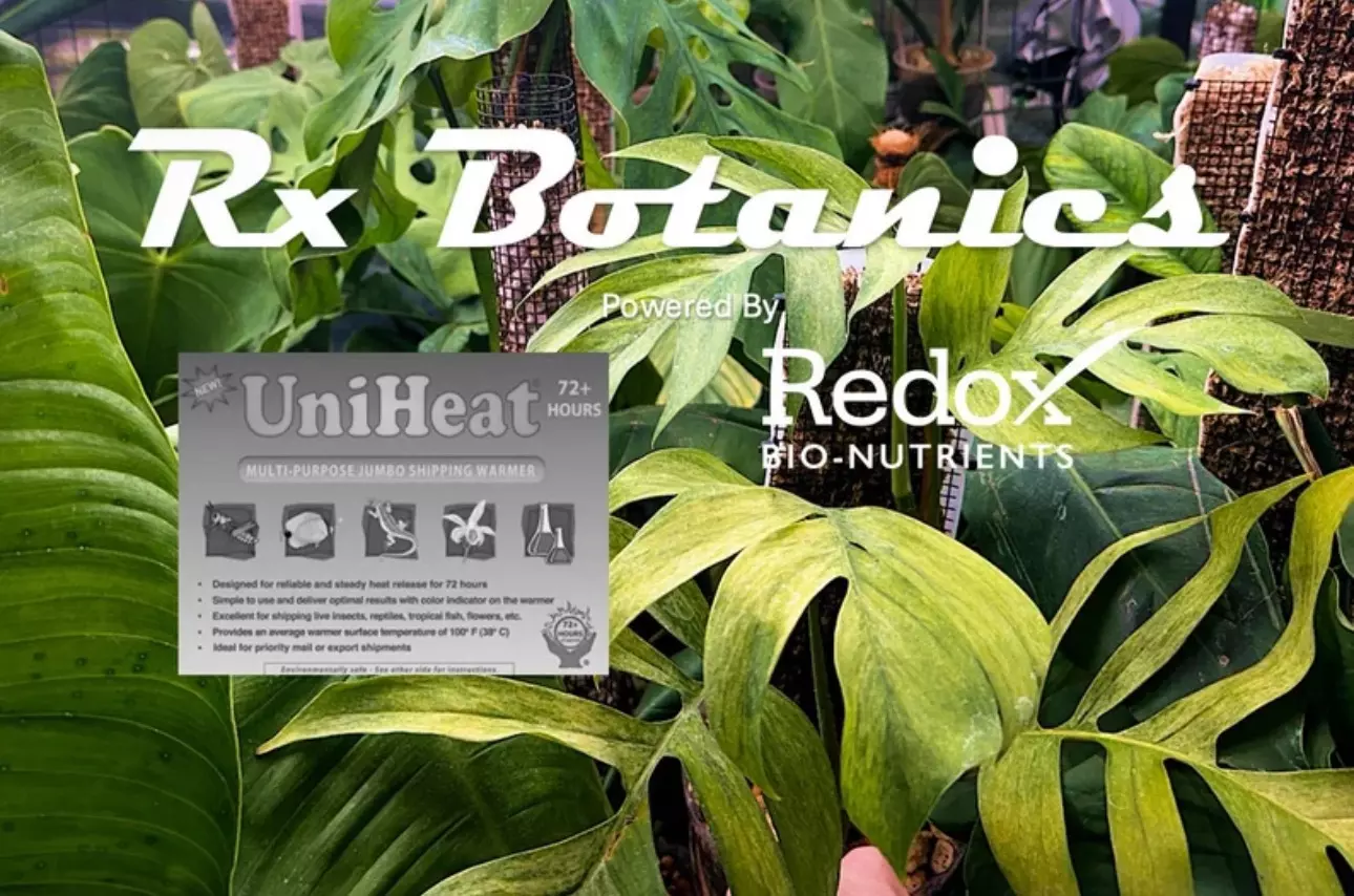 plant/Winter Heat pack-0