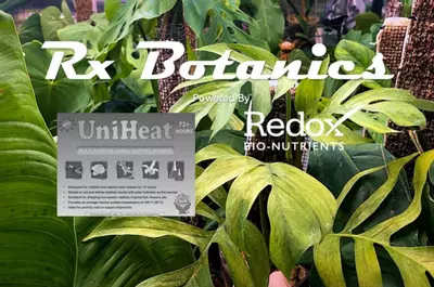 plant/Winter Heat pack-0-thumbnail