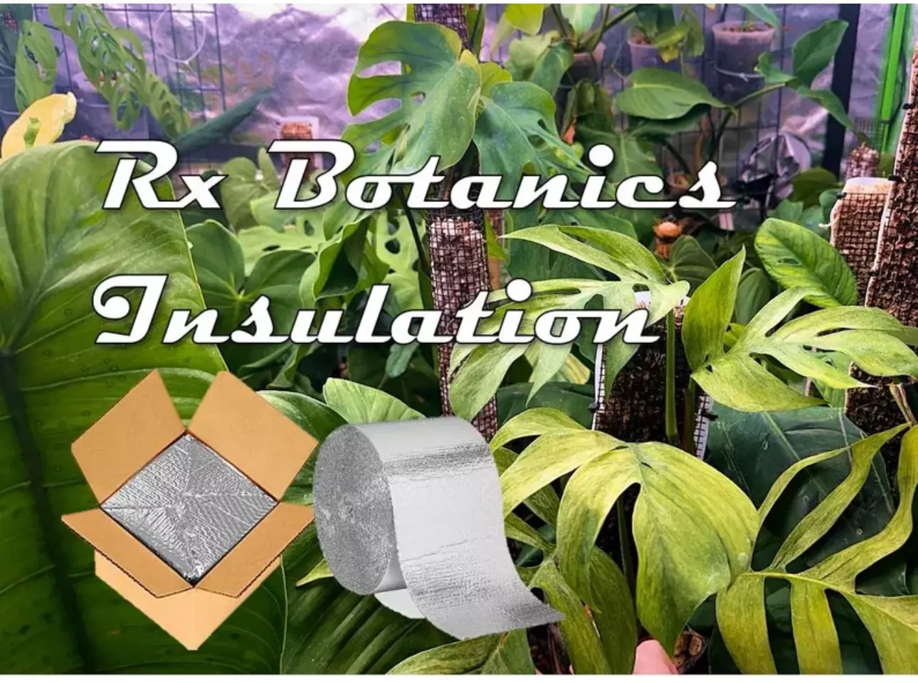 plant/Winter Insulation-0