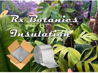 plant/Winter Insulation-0-thumbnail