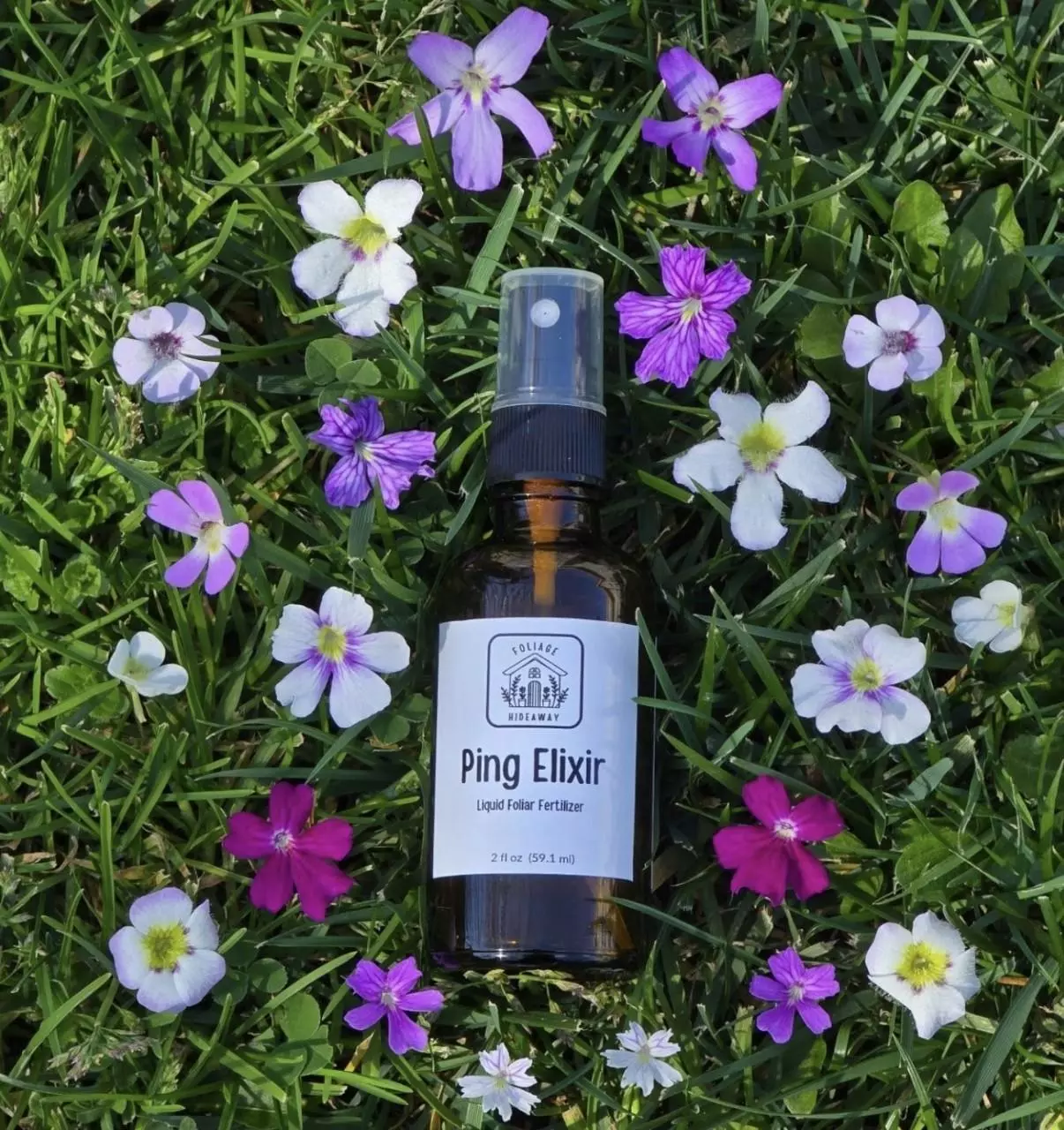 plant/Ping Elixir by Foliage Hideaway-0