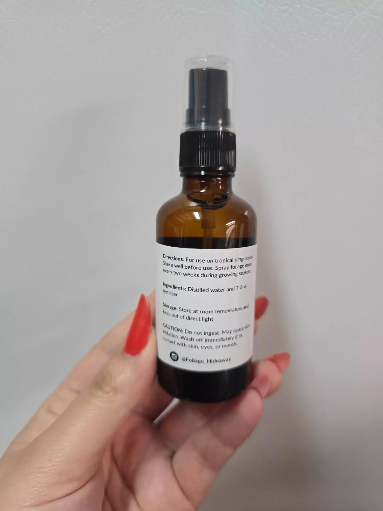 plant/Ping Elixir by Foliage Hideaway-3